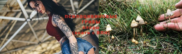меф Елизово
