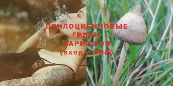 Альфа ПВП Ельня