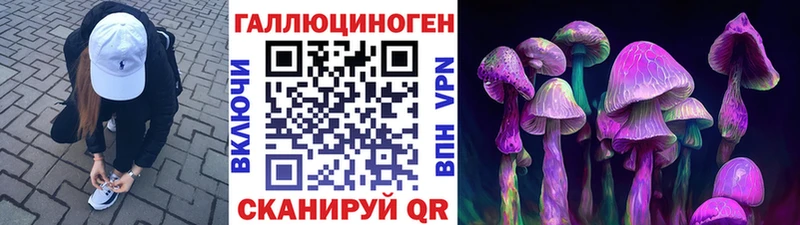 Псилоцибиновые грибы Psilocybine cubensis  Купить закладки  Теберда 